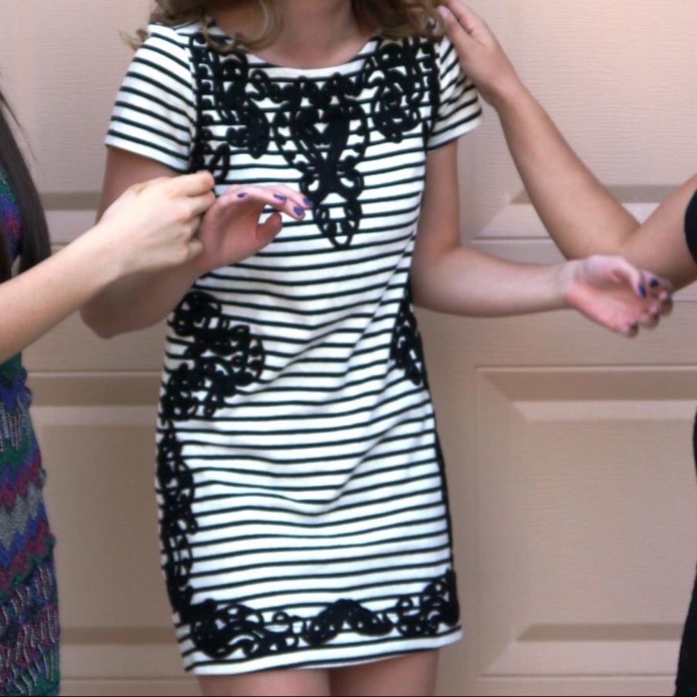 Anthropologie | Embroidered Striped Dress